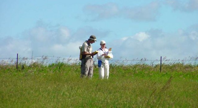top-image