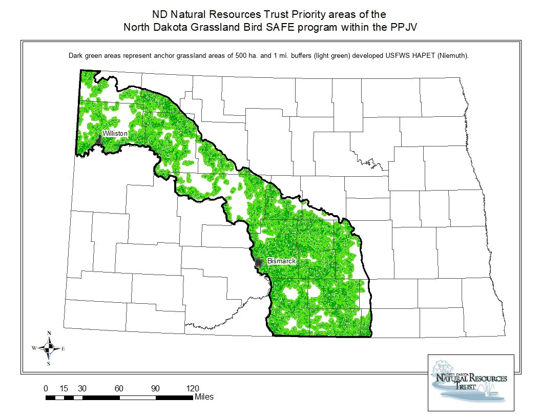 Priority Areas of the North Dakota Grassland Bird SAFE Program within the PPJV