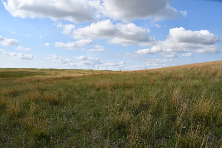 Home - The Prairie Pothole Joint Venture